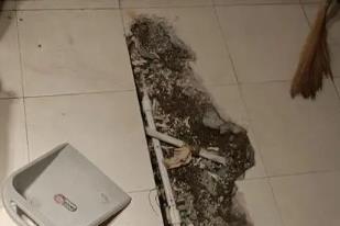 北安卫生间漏水检测电话
